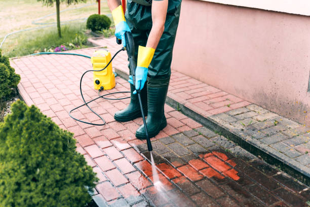 Best House Pressure Washing  in Duryea, PA